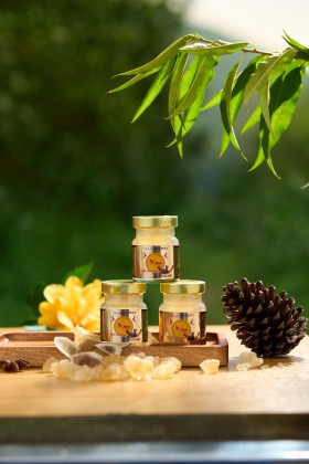 Yến Chưng Nhung Hươu