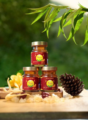 Yến Chưng Nhân Sâm SK Nest